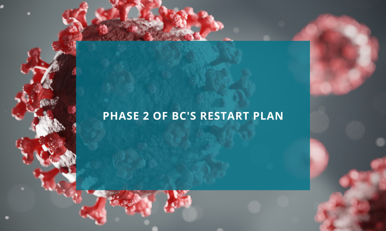 Phase 2 Of BC's Restart Plan - Cranbrook Chamber Of Commerce